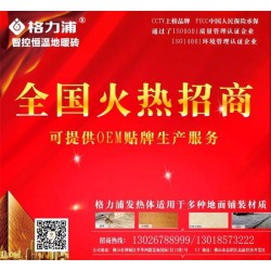 电热砖品牌、格力浦、安徽泗县电热砖
