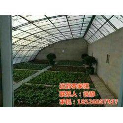 农家院|天津农家院开发商直销 |近郊农家院(