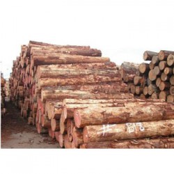 资源收购松木企业一览表
