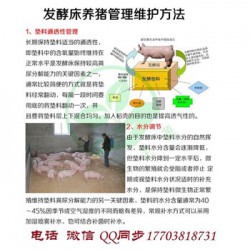 发酵床技术养猪有什么好处 用欣圣源发酵床